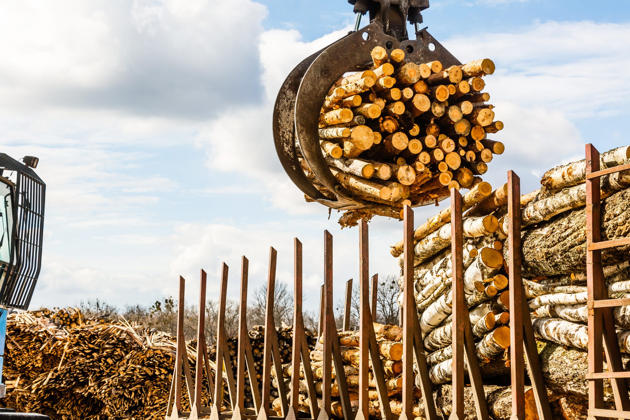 AdobeStock_312368993-scaled